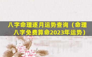 八字命理逐月运势查询（命理八字免费算命2023年运势）