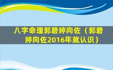 八字命理郭碧婷向佐（郭碧婷向佐2016年就认识）