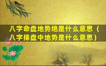 八字命盘地势绝是什么意思（八字排盘中地势是什么意思）