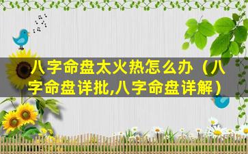 八字命盘太火热怎么办（八字命盘详批,八字命盘详解）