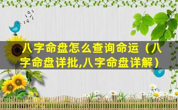 八字命盘怎么查询命运（八字命盘详批,八字命盘详解）