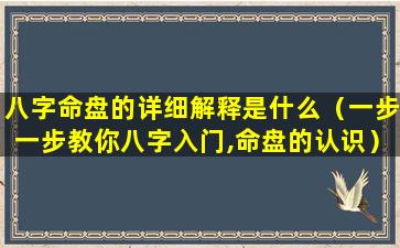 八字命盘的详细解释是什么（一步一步教你八字入门,命盘的认识）