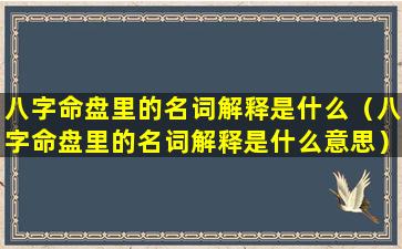 八字命盘里的名词解释是什么（八字命盘里的名词解释是什么意思）