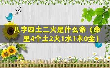 八字四土二火是什么命（命里4个土2火1水1木0金）