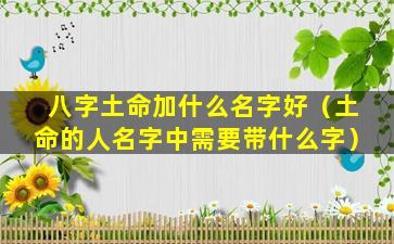 八字土命加什么名字好（土命的人名字中需要带什么字）