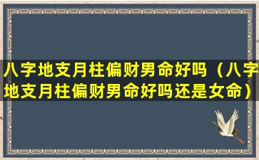 八字地支月柱偏财男命好吗（八字地支月柱偏财男命好吗还是女命）