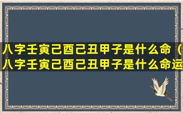 八字壬寅己酉己丑甲子是什么命（八字壬寅己酉己丑甲子是什么命运）