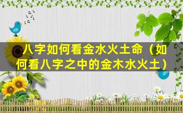 八字如何看金水火土命（如何看八字之中的金木水火土）