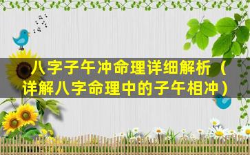 八字子午冲命理详细解析（详解八字命理中的子午相冲）