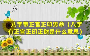 八字带正官正印男命（八字有正官正印正财是什么意思）