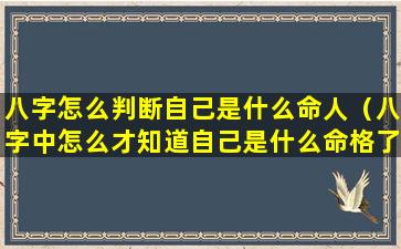 八字怎么判断自己是什么命人（八字中怎么才知道自己是什么命格了）