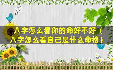 八字怎么看你的命好不好（八字怎么看自己是什么命格）