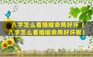 八字怎么看婚姻命局好坏（八字怎么看婚姻命局好坏呢）