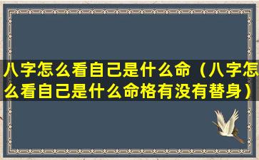 八字怎么看自己是什么命（八字怎么看自己是什么命格有没有替身）