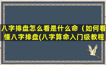 八字排盘怎么看是什么命（如何看懂八字排盘(八字算命入门级教程)精编版）