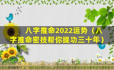 八字推命2022运势（八字推命密技帮你提功三十年）