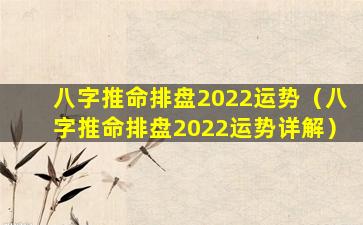 八字推命排盘2022运势（八字推命排盘2022运势详解）