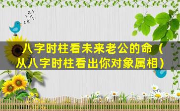 八字时柱看未来老公的命（从八字时柱看出你对象属相）