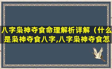 八字枭神夺食命理解析详解（什么是枭神夺食八字,八字枭神夺食怎么化解）