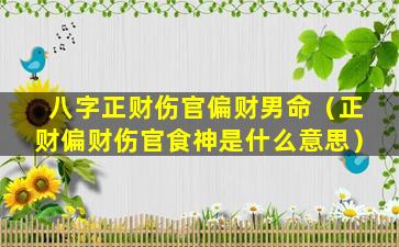 八字正财伤官偏财男命（正财偏财伤官食神是什么意思）