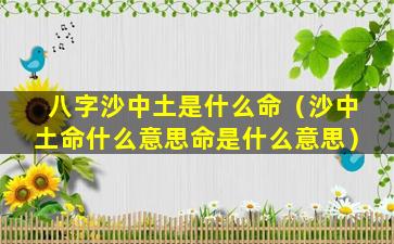 八字沙中土是什么命（沙中土命什么意思命是什么意思）