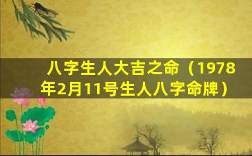 八字生人大吉之命（1978年2月11号生人八字命牌）