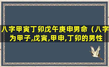 八字甲寅丁卯戊午庚申男命（八字为甲子,戊寅,甲申,丁卯的男性好不好）