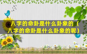 八字的命卦是什么卦象的（八字的命卦是什么卦象的呢）