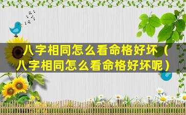 八字相同怎么看命格好坏（八字相同怎么看命格好坏呢）