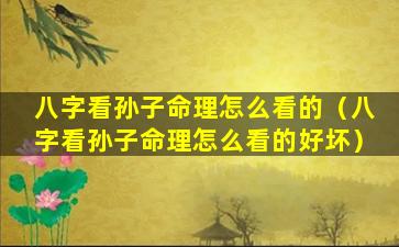 八字看孙子命理怎么看的（八字看孙子命理怎么看的好坏）