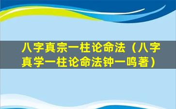 八字真宗一柱论命法（八字真学一柱论命法钟一鸣著）