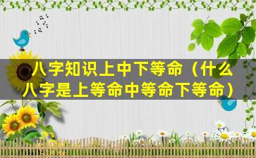 八字知识上中下等命（什么八字是上等命中等命下等命）