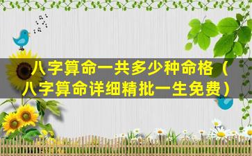 八字算命一共多少种命格（八字算命详细精批一生免费）