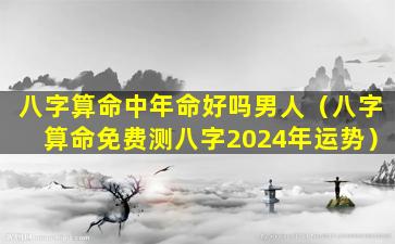 八字算命中年命好吗男人（八字算命免费测八字2024年运势）