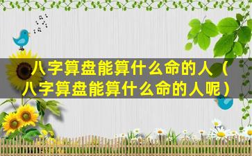 八字算盘能算什么命的人（八字算盘能算什么命的人呢）