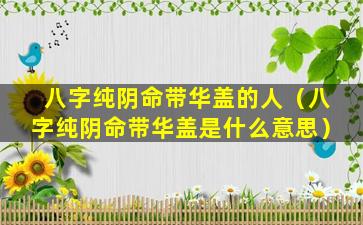 八字纯阴命带华盖的人（八字纯阴命带华盖是什么意思）