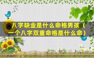 八字缺金是什么命格男孩（一个八字双重命格是什么命）