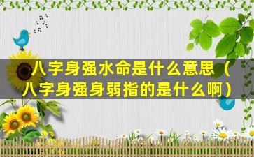 八字身强水命是什么意思（八字身强身弱指的是什么啊）