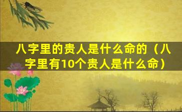 八字里的贵人是什么命的（八字里有10个贵人是什么命）