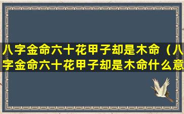 八字金命六十花甲子却是木命（八字金命六十花甲子却是木命什么意思）