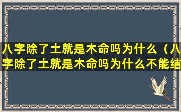 八字除了土就是木命吗为什么（八字除了土就是木命吗为什么不能结婚）