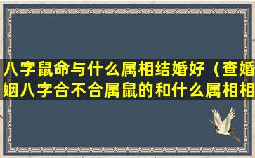 八字鼠命与什么属相结婚好（查婚姻八字合不合属鼠的和什么属相相配）