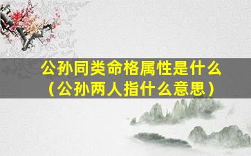 公孙同类命格属性是什么（公孙两人指什么意思）