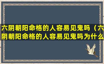 六阴朝阳命格的人容易见鬼吗（六阴朝阳命格的人容易见鬼吗为什么）