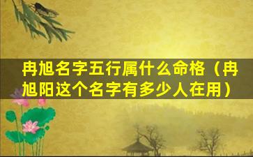 冉旭名字五行属什么命格（冉旭阳这个名字有多少人在用）