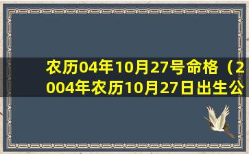 农历04年10月27号命格（2004年农历10月27日出生公历是多少）