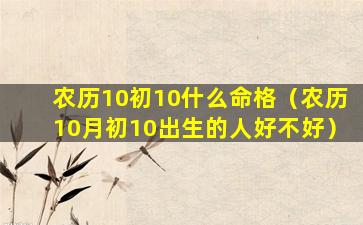 农历10初10什么命格（农历10月初10出生的人好不好）