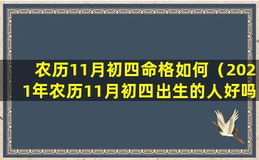 农历11月初四命格如何（2021年农历11月初四出生的人好吗）