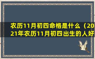 农历11月初四命格是什么（2021年农历11月初四出生的人好吗）