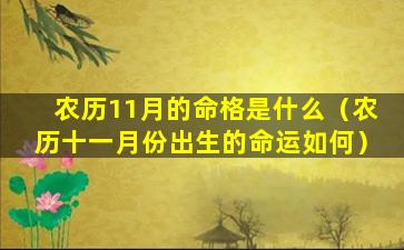 农历11月的命格是什么（农历十一月份出生的命运如何）